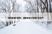 桐梓县煤矿回放？ 桐梓县有几家煤矿在生产？