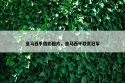 皇马西甲摄影图片，皇马西甲联赛冠军