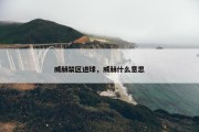 威赫禁区进球，威赫什么意思