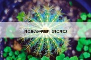 拜仁暴力分子图片（拜仁拜仁）