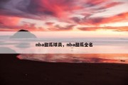 nba甜瓜球员，nba甜瓜全名
