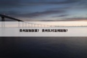 贵州蹴鞠联赛？ 贵州队对淄博蹴鞠？