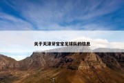 关于天津牙宝宝足球队的信息