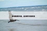 欧洲联赛华裔，欧洲杯华裔球员