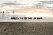 锡伯杜尼克斯季后赛（锡伯杜防守体系）