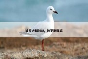 波罗进球技能，波罗斯阵容