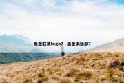 黑金联赛logo？ 黑金俱乐部？