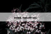 虔城联赛（虔诚kpl哪个战队）