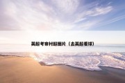 英超考察村超图片（去英超看球）