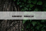 年鹏最强阵容？ 年鹏成名之战？