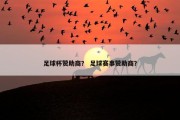 足球杯赞助商？ 足球赛事赞助商？