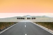 球员努哈？ 努尔 足球？