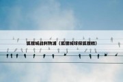 狐狸城战利物浦（狐狸城球探狐狸精）