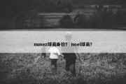 nunez球员身价？ noel球员？