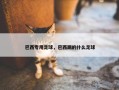 巴西专用足球，巴西踢的什么足球