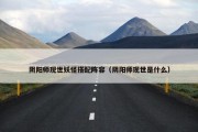 阴阳师现世妖怪搭配阵容（阴阳师现世是什么）