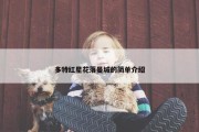 多特红星花落曼城的简单介绍