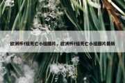 欧洲杯f组死亡小组图片，欧洲杯f组死亡小组图片最新