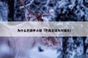 为什么巴西甲小球（巴西足球为何强大）