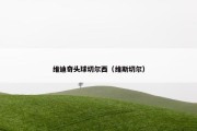 维迪奇头球切尔西（维斯切尔）