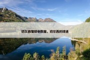 切尔西懂球帝数据，切尔西的球迷