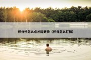 积分榜怎么点才能更快（积分怎么打榜）