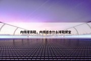 内线球员鞋，内线适合什么球鞋便宜