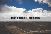 欧洲杯格鲁吉亚推荐，格鲁吉亚杯赛