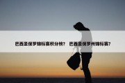 巴西圣保罗锦标赛积分榜？ 巴西圣保罗州锦标赛？