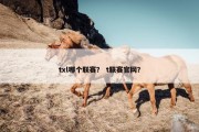 txl哪个联赛？ t联赛官网？