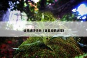 世界进球镜头（世界经典进球）