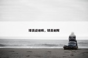 球员谈谢晖，球员谢辉
