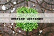 切尔西有多恐怖？ 切尔西有多恐怖啊？