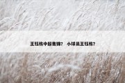 王钰栋中超集锦？ 小球员王钰栋？