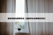 曼联转回埃弗顿球员（曼联转会埃弗顿的球员）