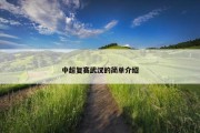 中超复赛武汉的简单介绍