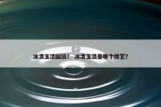 冰清玉洁回放？ 冰清玉洁是哪个综艺？