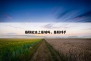 曼联能追上曼城吗，曼联对手