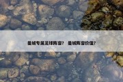 曼城专属足球阵容？ 曼城阵容价值？