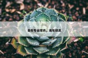 青年专业球衣，青年球员