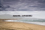 大四足球队（大学进足球队）
