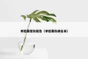 季后赛受伤报告（季后赛伤病名单）