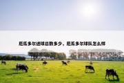 厄瓜多尔进球总数多少，厄瓜多尔球队怎么样