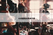 小含回放的简单介绍