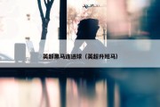 英超黑马连进球（英超升班马）