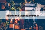 中国足球主场球票（中国足球主场球票哪里买）