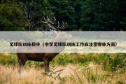 足球队训练初中（中学足球队训练工作应注意哪些方面）