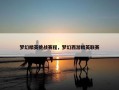 梦幻精英挑战赛程，梦幻西游精英联赛