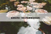 各球队转会（球队转会费是给球员吗）