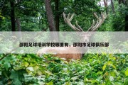 邵阳足球培训学校哪里有，邵阳市足球俱乐部